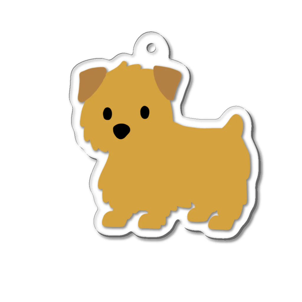 TOMOS-dogのnorfolkterrier（レッド） Acrylic Key Chain