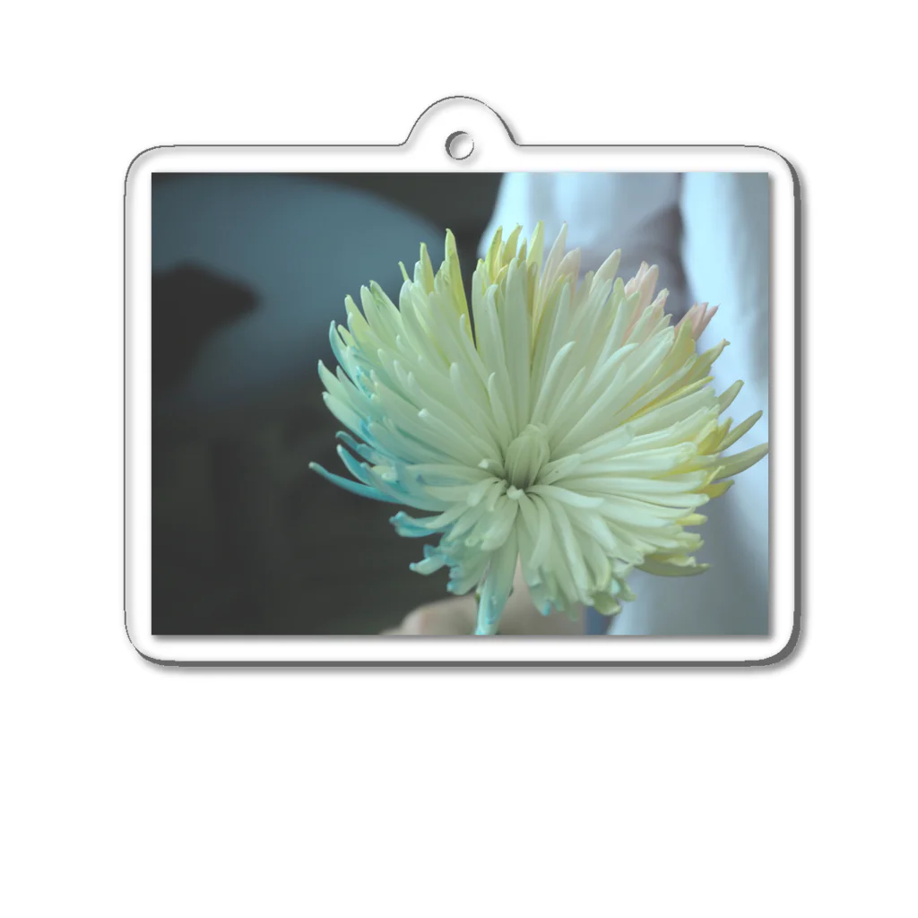 bloomのCOLOR Acrylic Key Chain