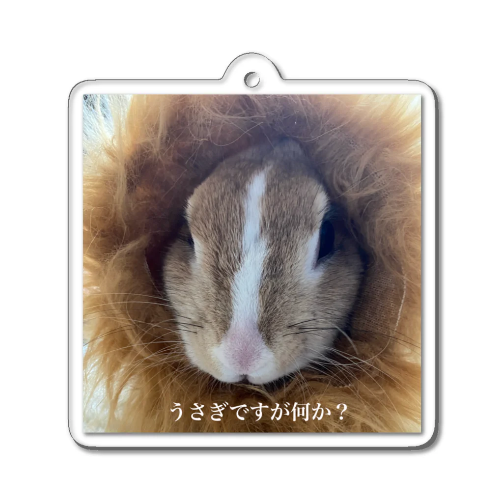 conehoのライオンになりたかった？うさぎ Acrylic Key Chain