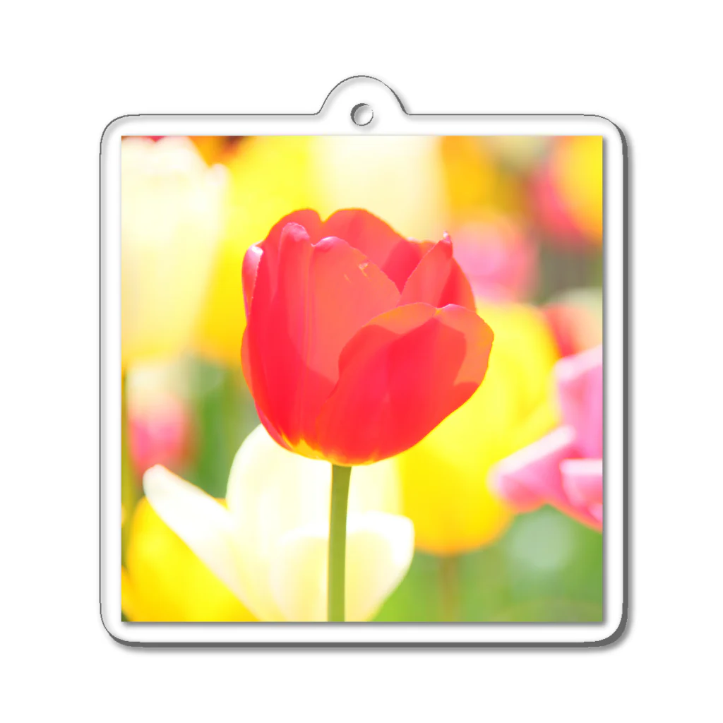 HAPPY TULIPのHAPPY TULIP 赤 Acrylic Key Chain