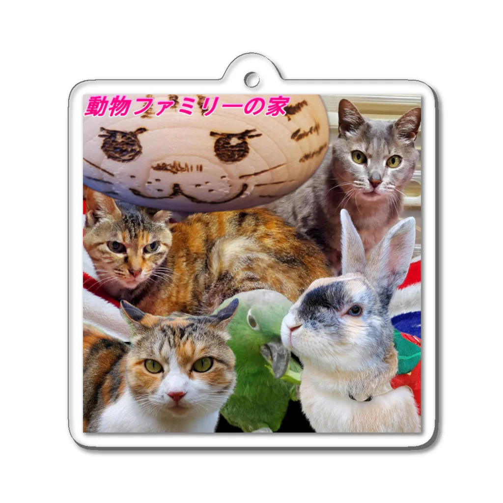 うさぎのマルチの動物ファミリーの家グッズ アクリルキーホルダー