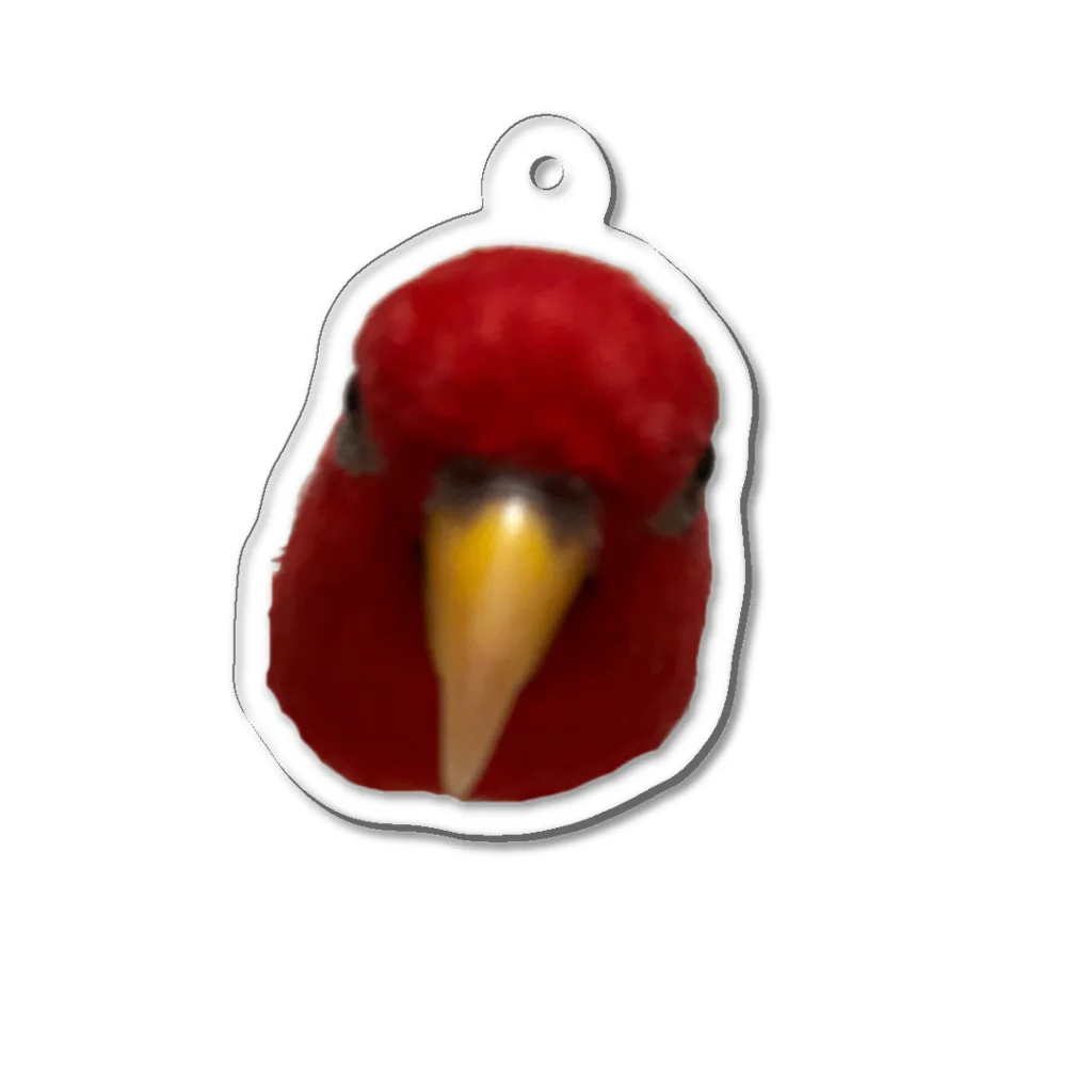 み(●ᴥ●)ほのヒインコのひーちゃん Acrylic Key Chain