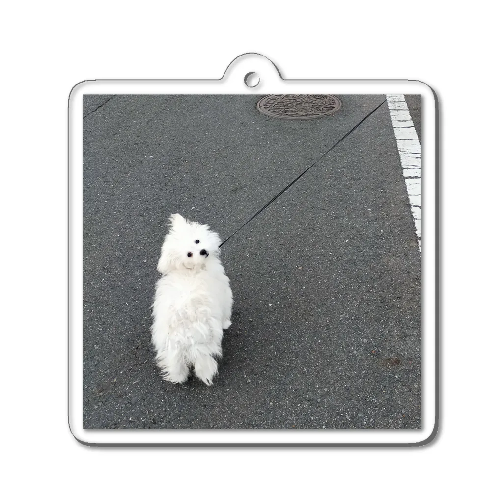 chehongmanのおさんぽ Acrylic Key Chain