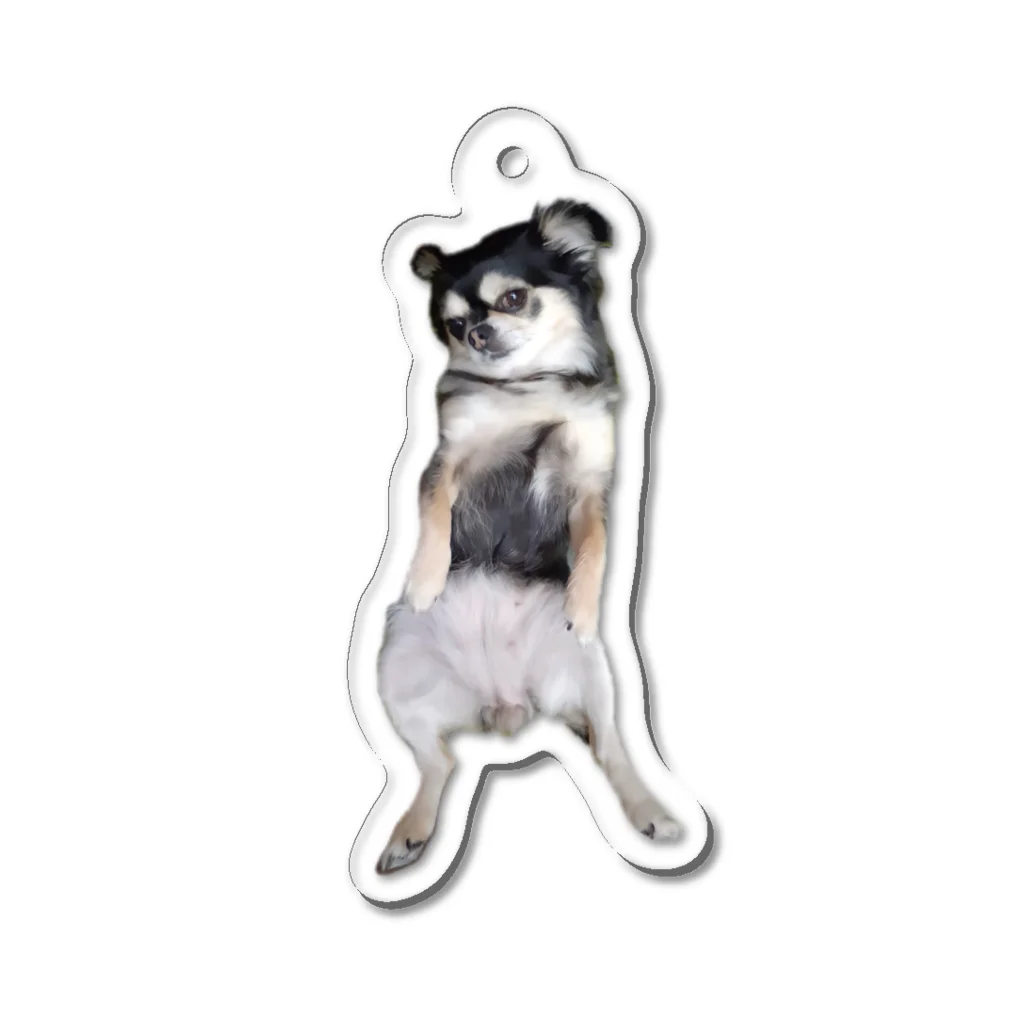 【ホラー専門店】ジルショップの変な犬❷ ちわわ＊やる気のない犬 Acrylic Key Chain