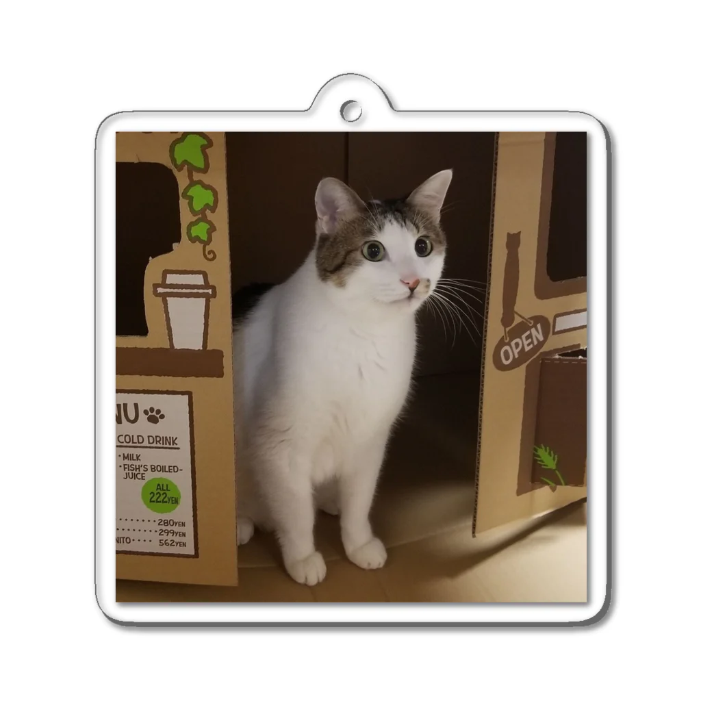 猫店長の店の猫店長 Acrylic Key Chain