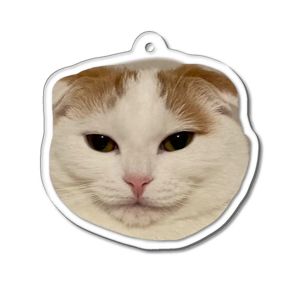 きなこ企画の愛猫きなこのオリジナルグッズ Acrylic Key Chain