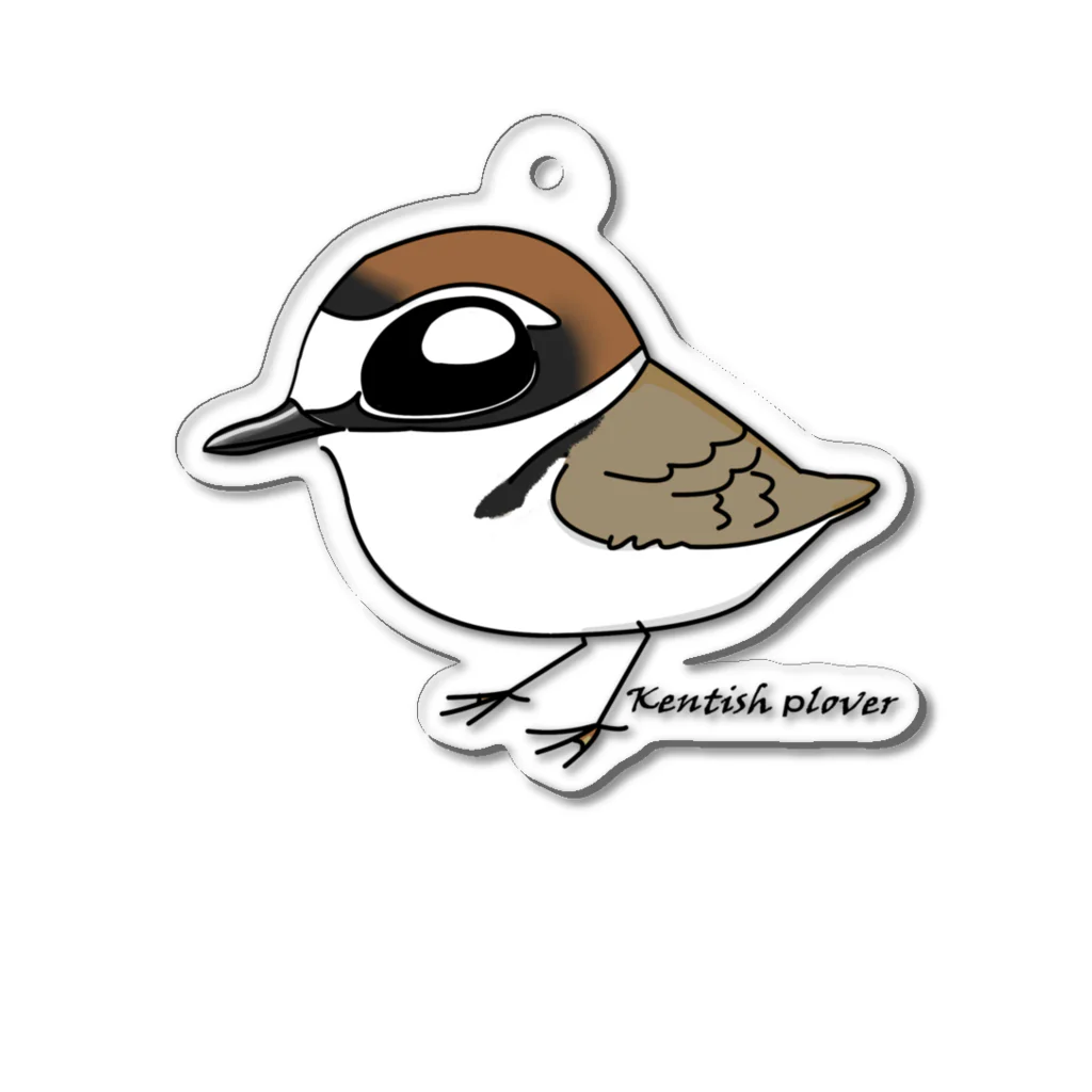 とりみちゃんの野鳥グッズのお店のシロチドリ Acrylic Key Chain