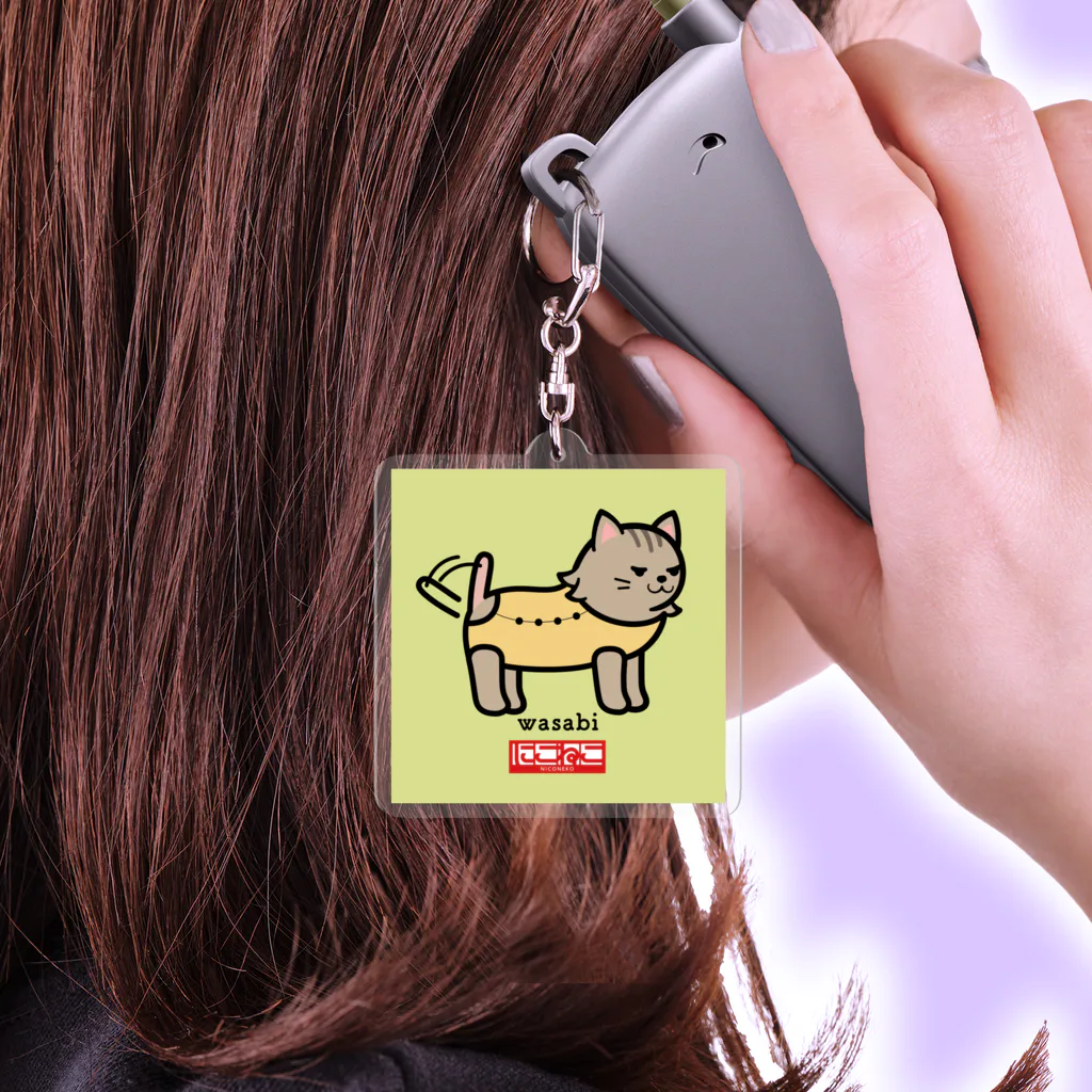 Amazon.co.jp: NEE タオル ボキのゴーグル グッズセット