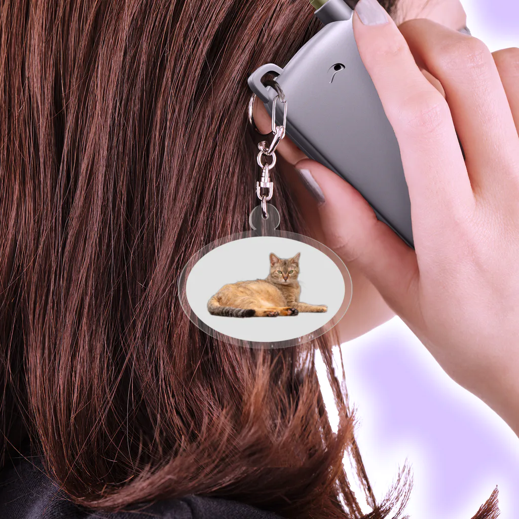 ふよだすのニャン Acrylic Key Chain