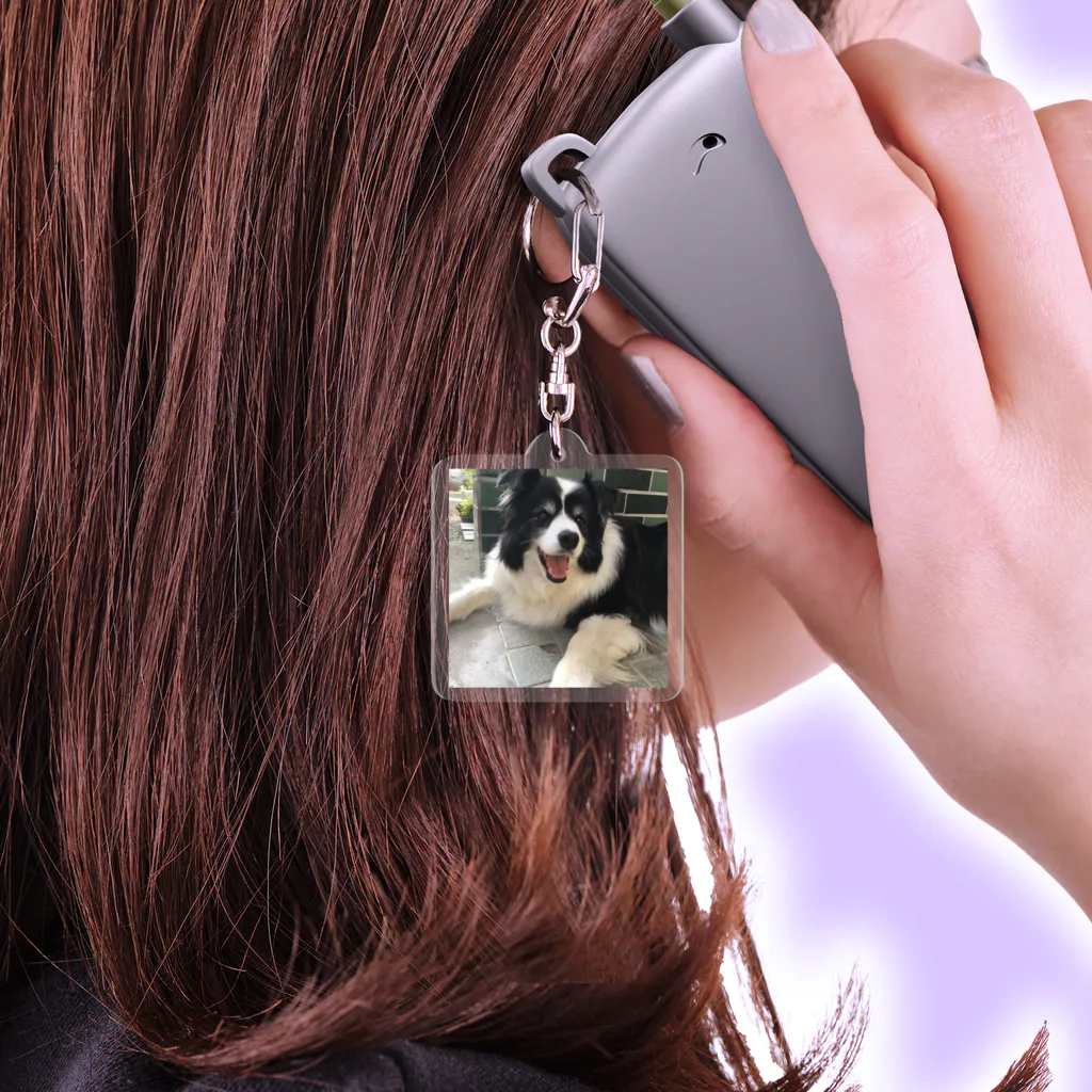 meeting pandaのボーダーコリー Acrylic Key Chain