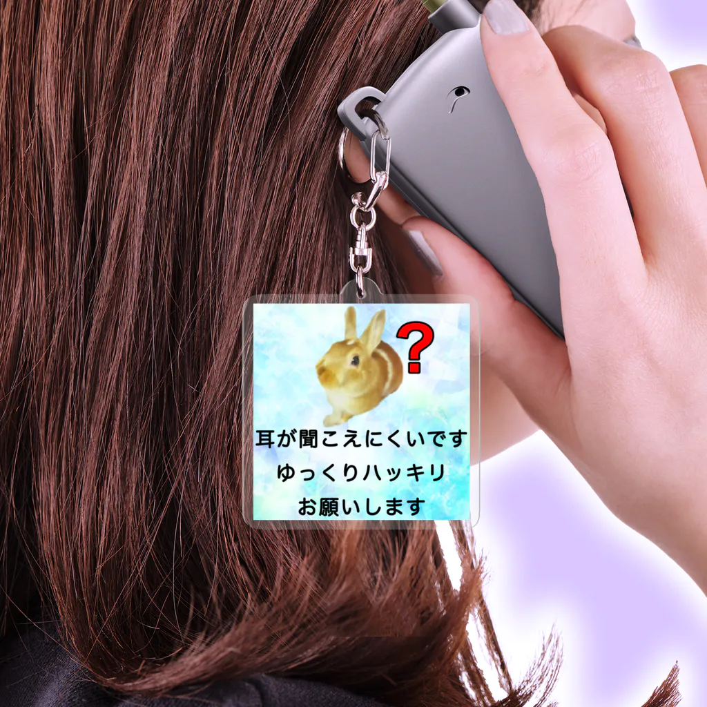 ドライのうさぎ　耳が聞こえにくい　片耳難聴　両耳難聴　聞こえづらい Acrylic Key Chain