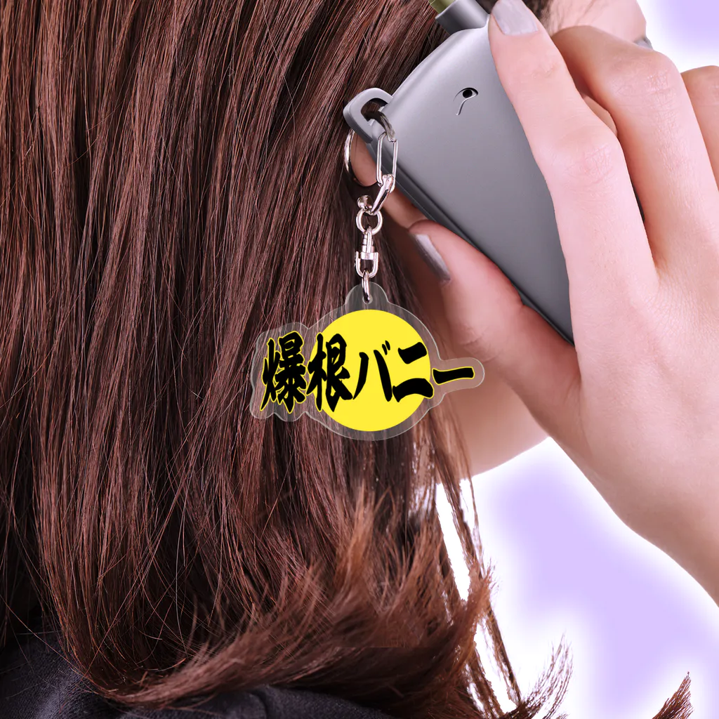ZRX400 エアクリーナーカバー メッキ/ZRX2アルフィン取付 ZRX400 エアクリーナーカバー メッキ/ZRX2アルフィン取付