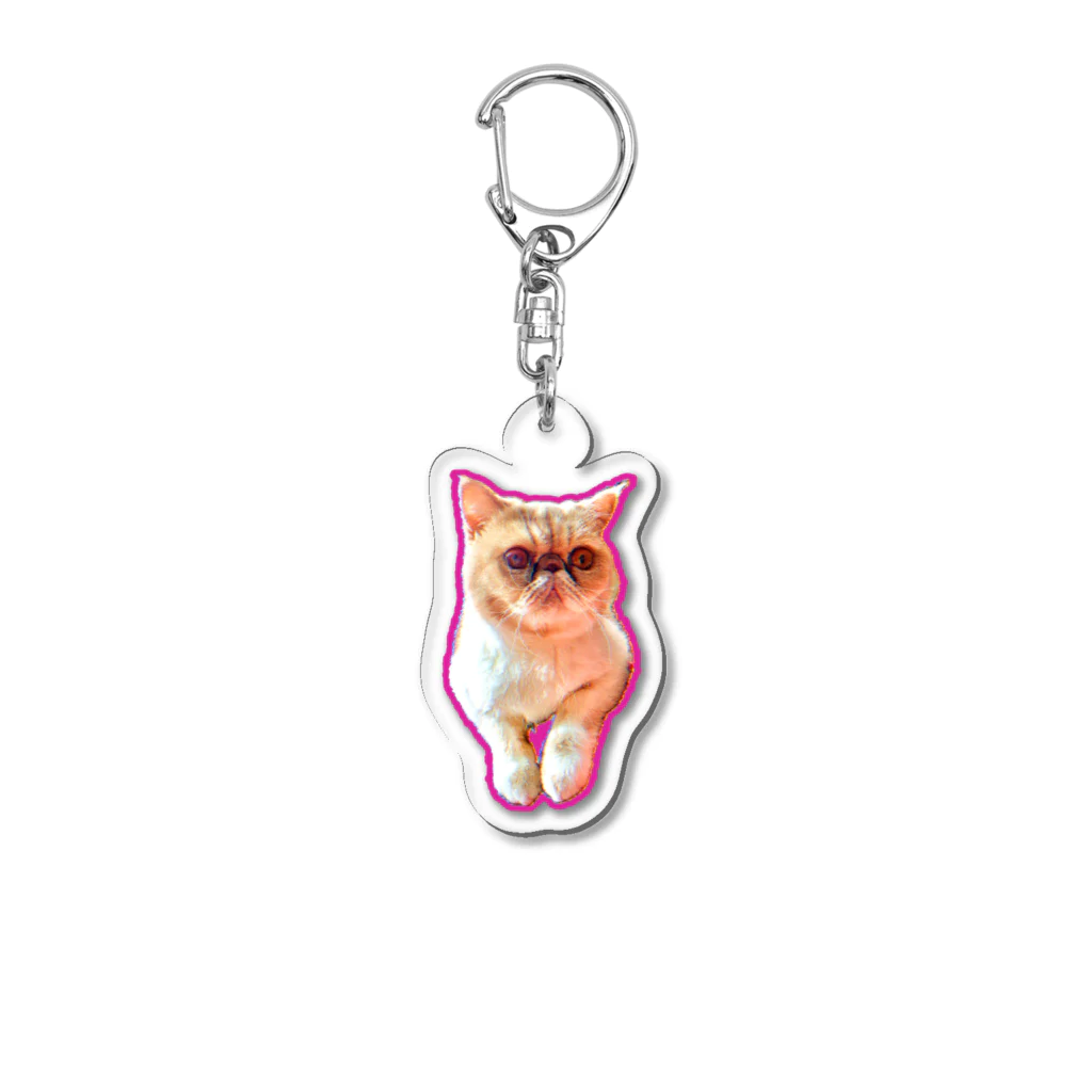 ペッチャリーノ・ヘチマチョフのネコ Acrylic Key Chain