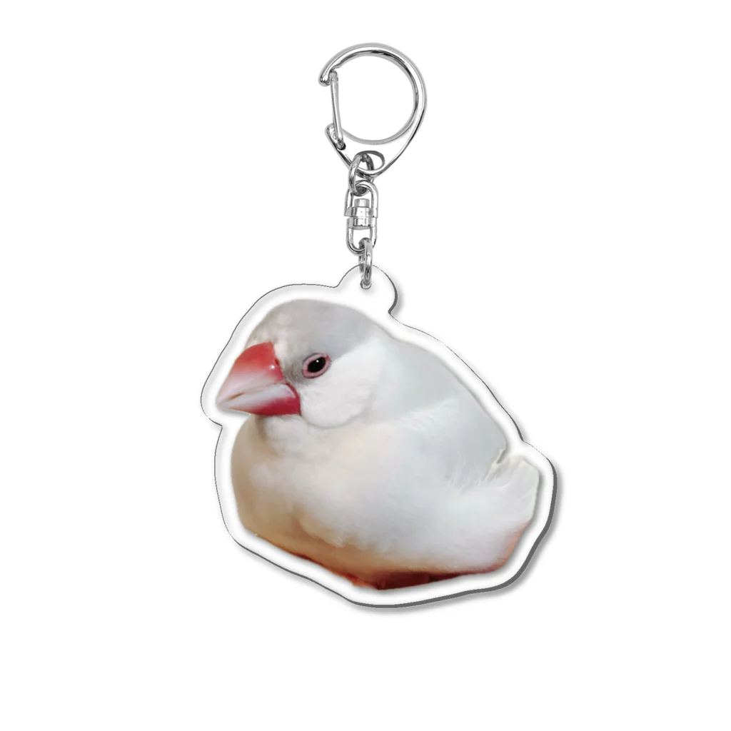 ちゅん's Shop✴︎🕊️のpi(･8･)chan Acrylic Key Chain