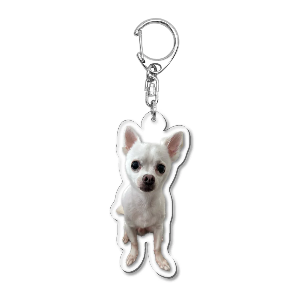 ここまる。🐶🎀のここまる。🐶🎀アクキー Acrylic Key Chain