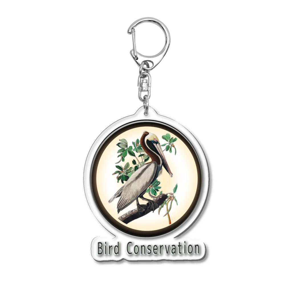 アニマル四字熟語の野鳥保護「カッショクペリカン」Bird　Conservasion　 　 Acrylic Key Chain