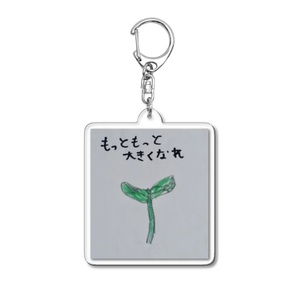 DKOのもっともっと大きくなれ Acrylic Key Chain