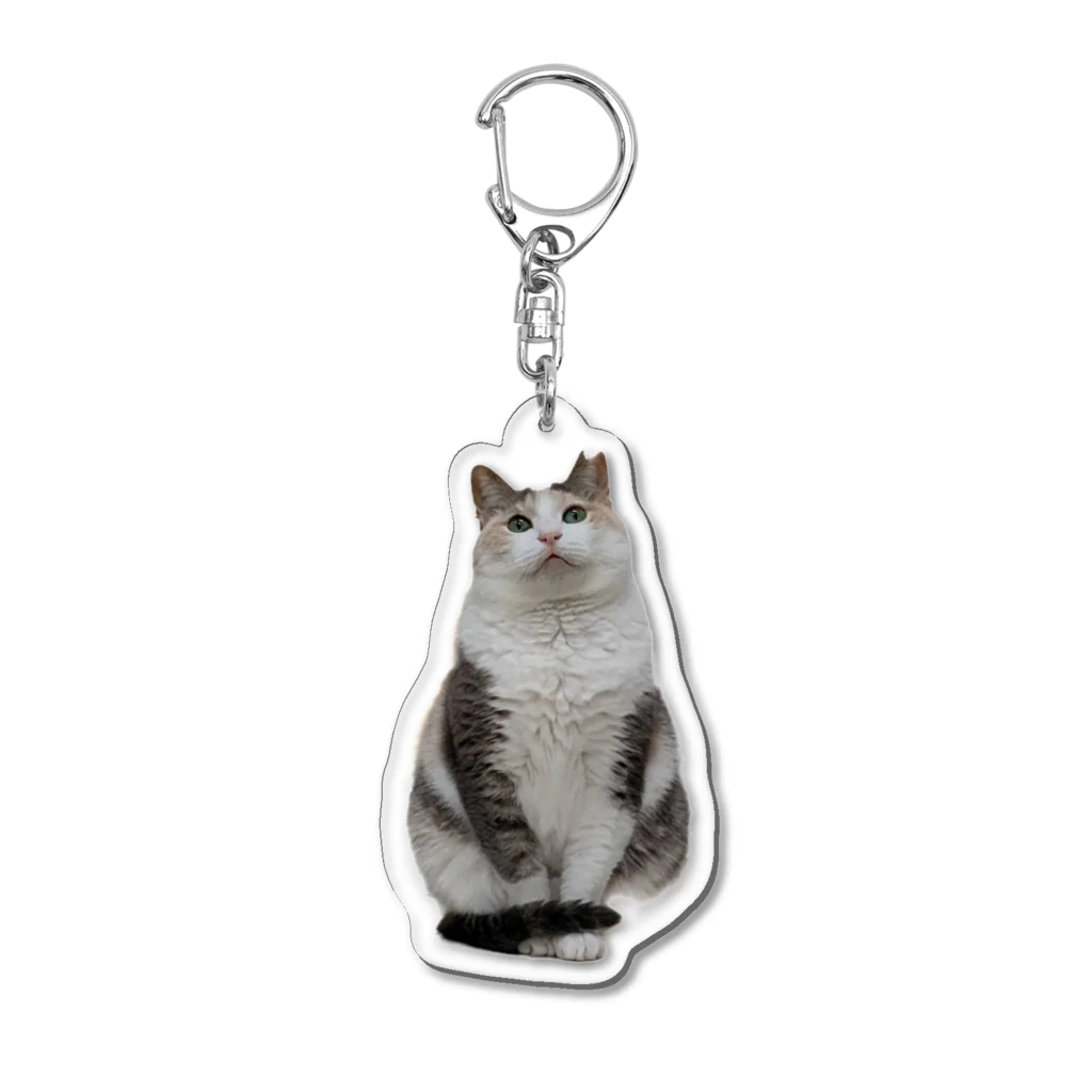 犬猫サロンぷらすのサユリちゃん Acrylic Key Chain