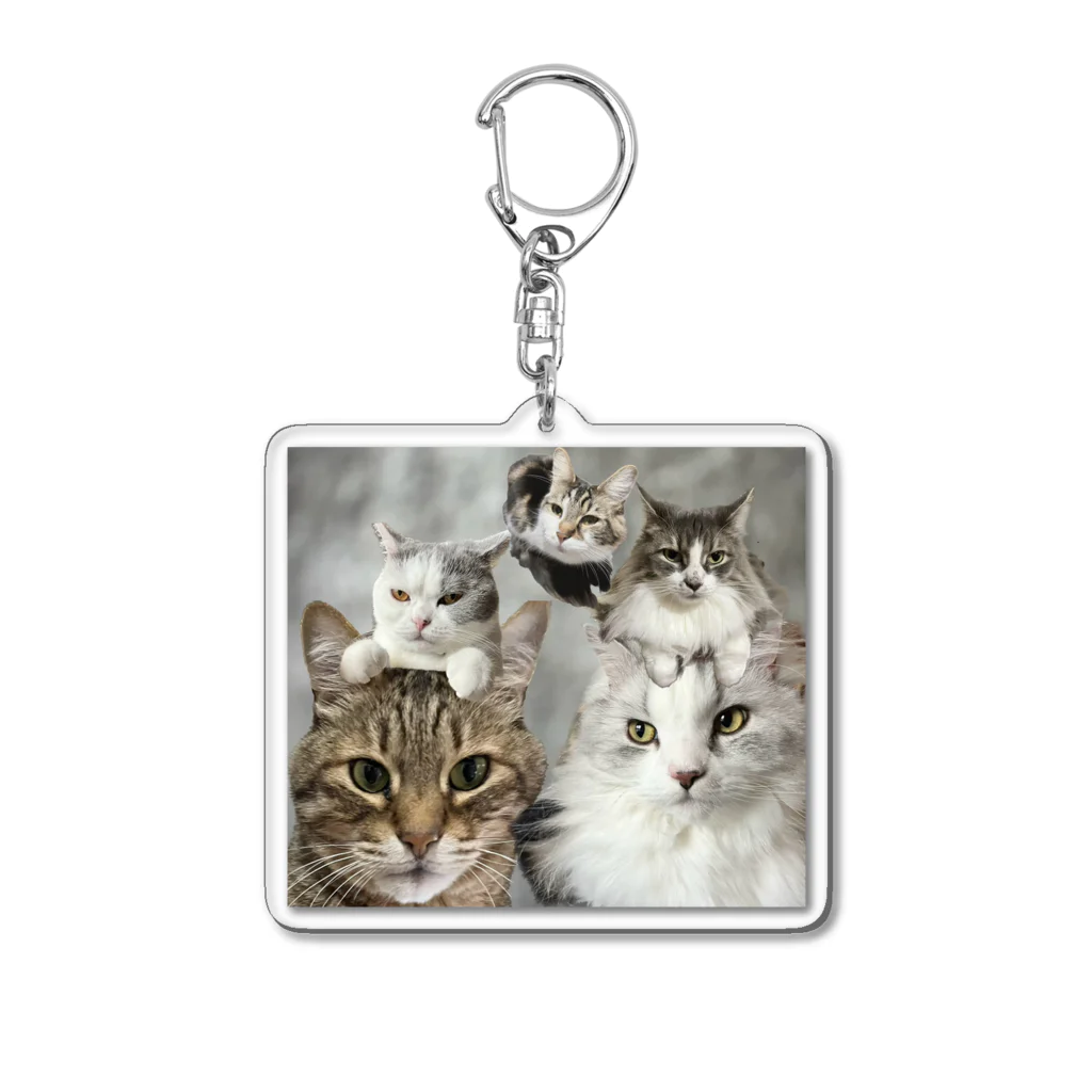 えひめのねこ空こうめひめじじ Acrylic Key Chain