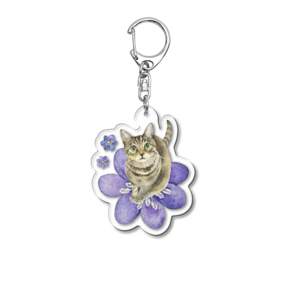 猫が好きすぎる絵描き　キジシマ ミキのキジトラくんミスミソウに乗る Acrylic Key Chain