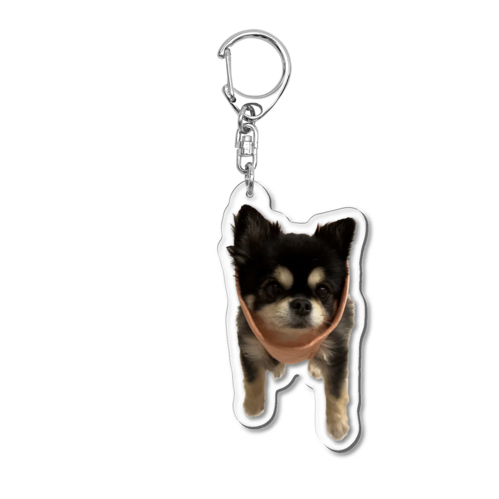 ここまる。🐶🎀のここまる。【飛ぶ犬】 Acrylic Key Chain