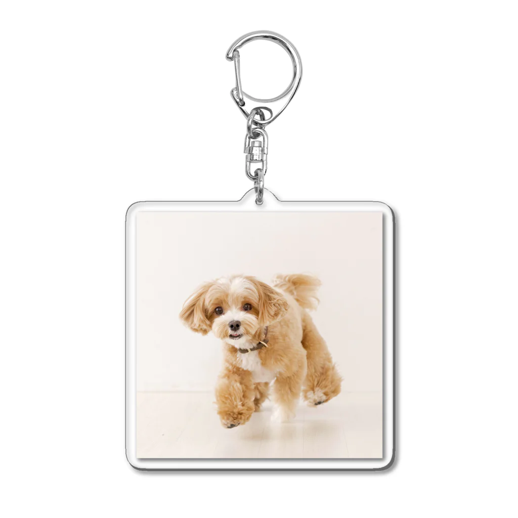 ちゃちゃまるしょっぷ🐶のるんるん Acrylic Key Chain