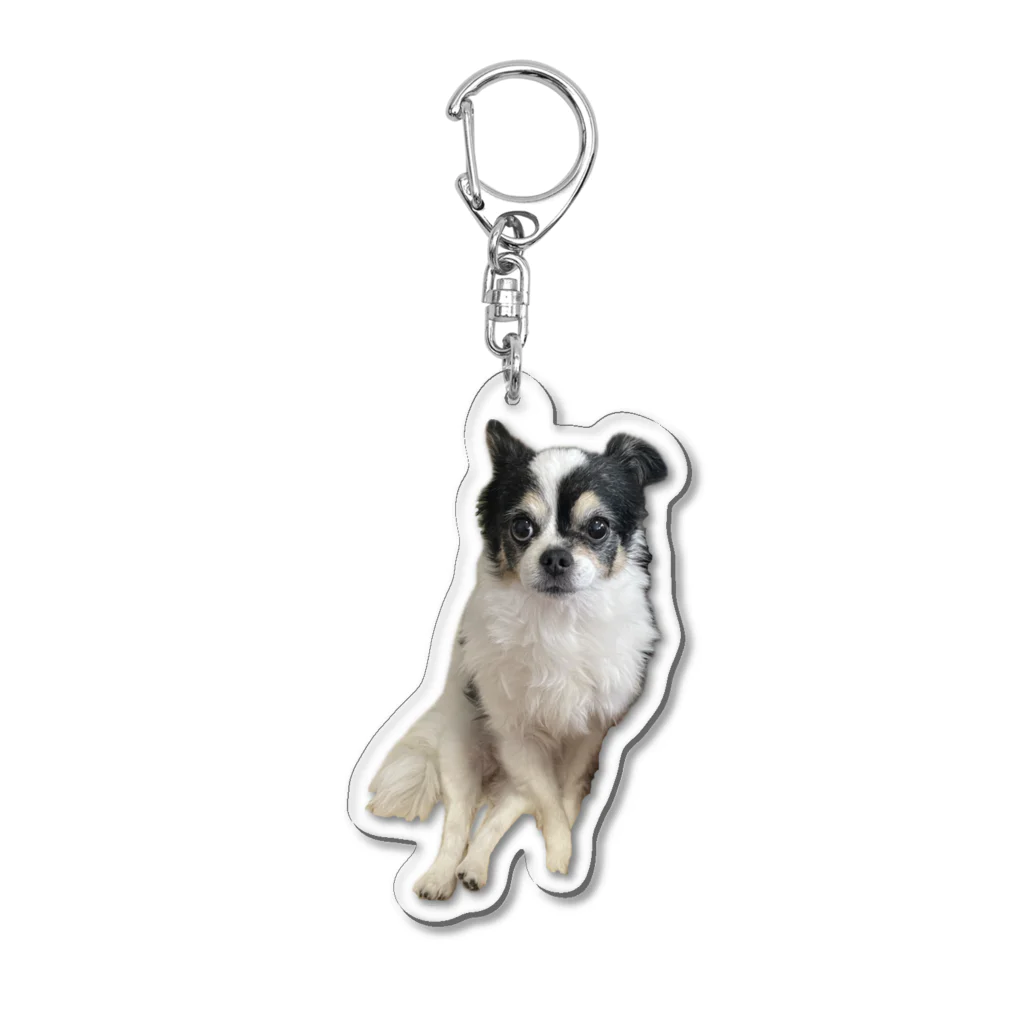 チワワの美脚チワワ Acrylic Key Chain