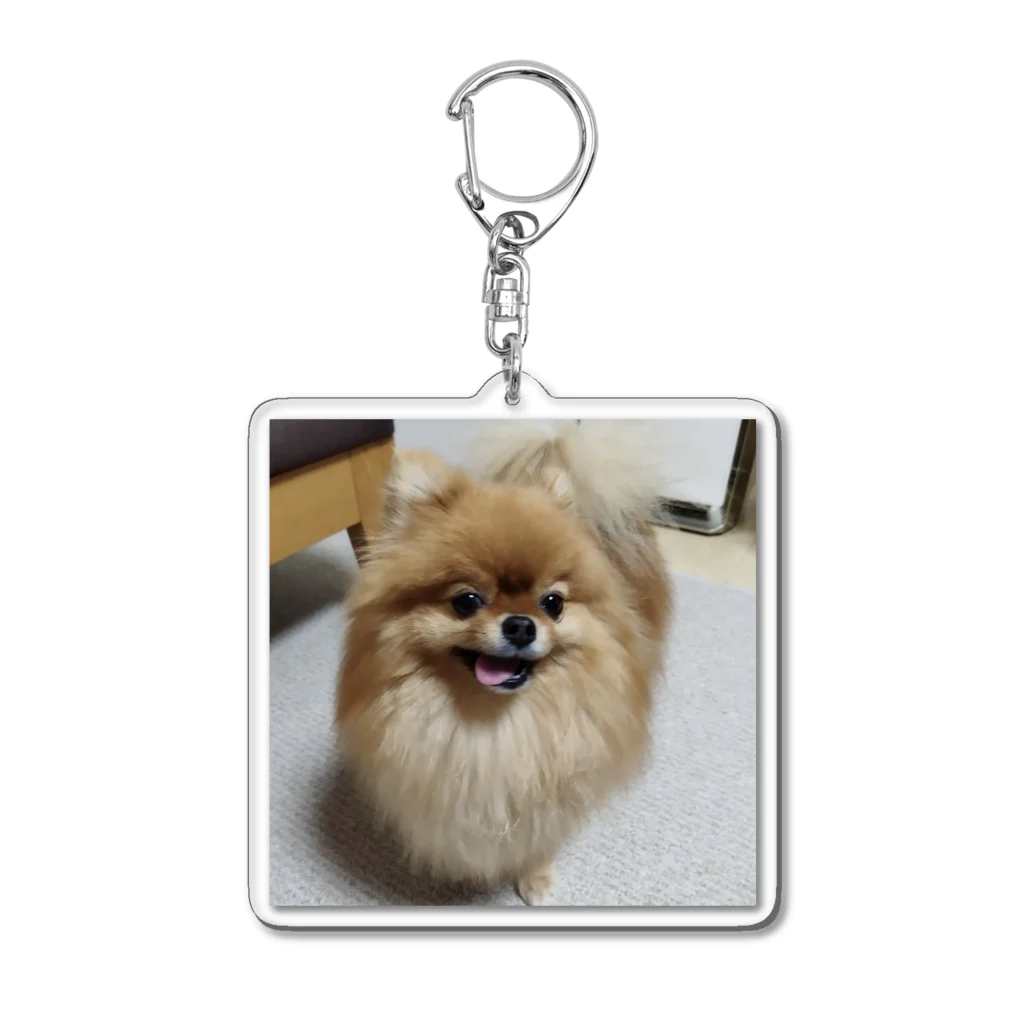 APORO von COCOのポメラニアンのここちゃん Acrylic Key Chain