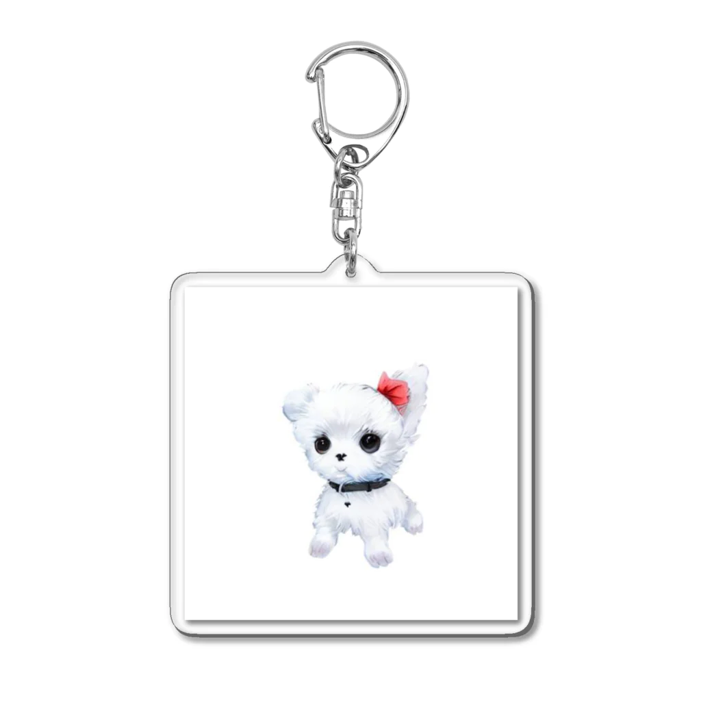 ちいさき家族スキ　Maltese ♡のだってマルチーズだもん　素 Acrylic Key Chain