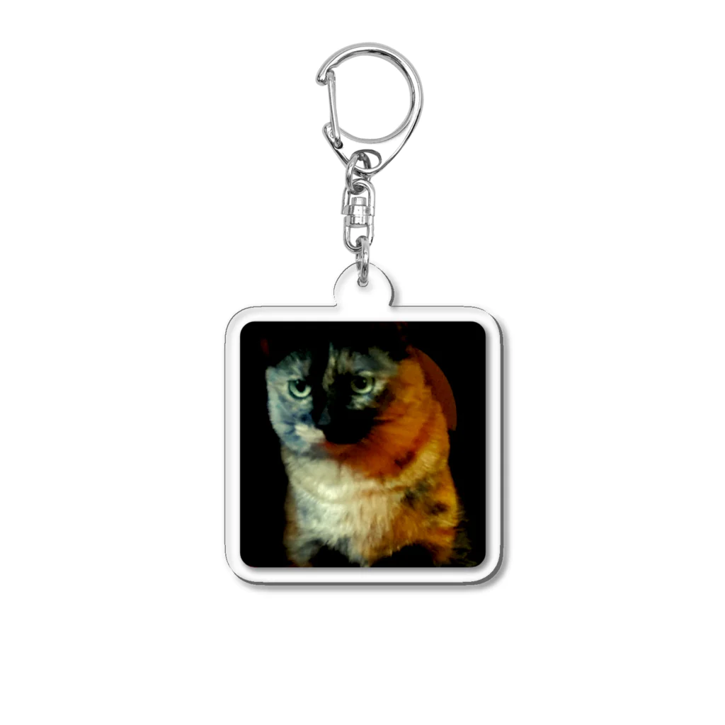 おむつ猫とびちゃんのぢっとおやつを見る猫 Acrylic Key Chain