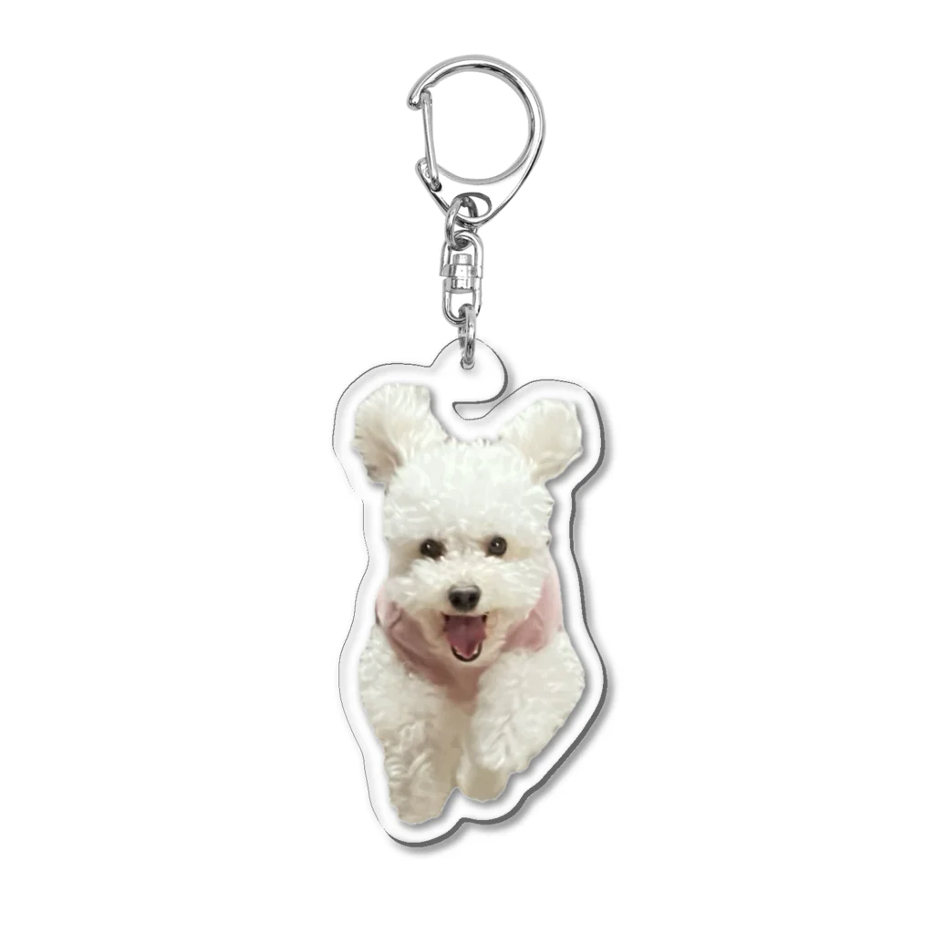 カケイプランツのダッシュ！ジャンプ！犬 Acrylic Key Chain