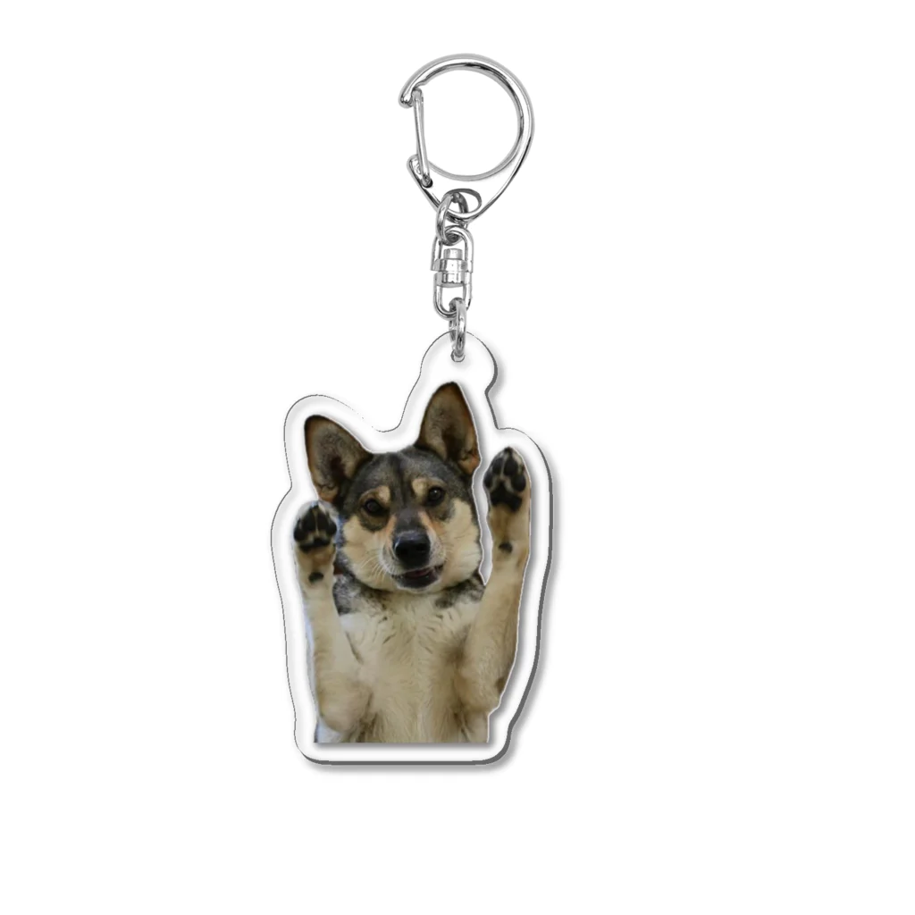 わんこと田舎暮らしのばんざいりんちゃん Acrylic Key Chain