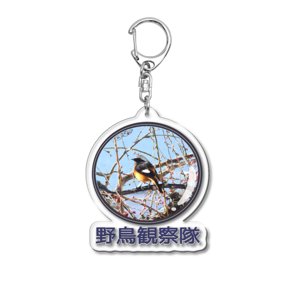 アニマル四字熟語のジョウビタキ　野鳥観察隊　日本の野鳥　 Acrylic Key Chain
