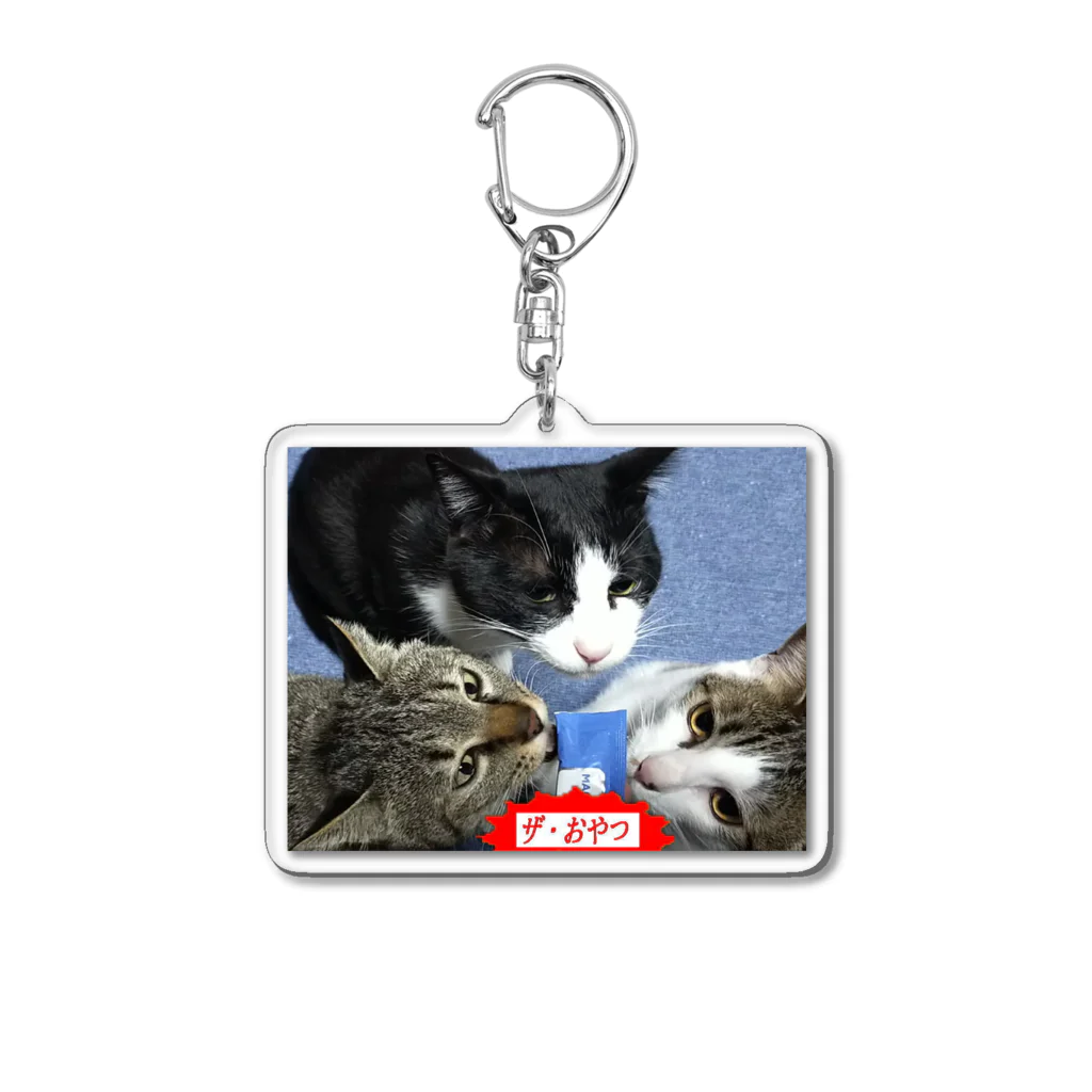 nyan_Tu_kocchaのにゃんTuこっちゃ Acrylic Key Chain