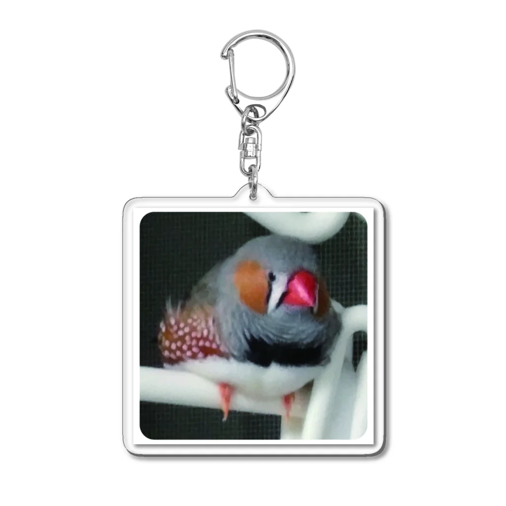 Erizoぐっずショップの橙次郎くん・角丸□ Acrylic Key Chain