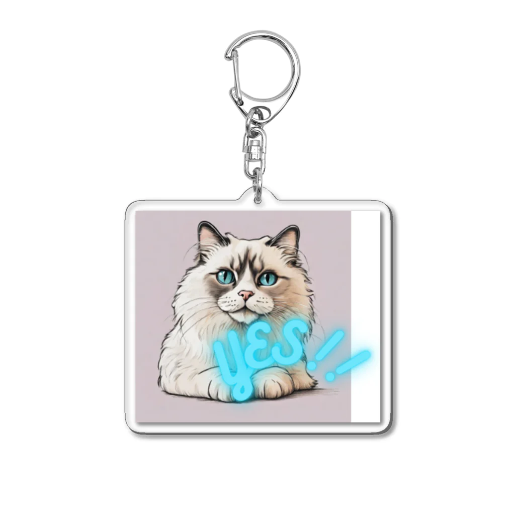 yae_8の猫　YES！！　おしゃれで前向きっぽい日常アイテム Acrylic Key Chain