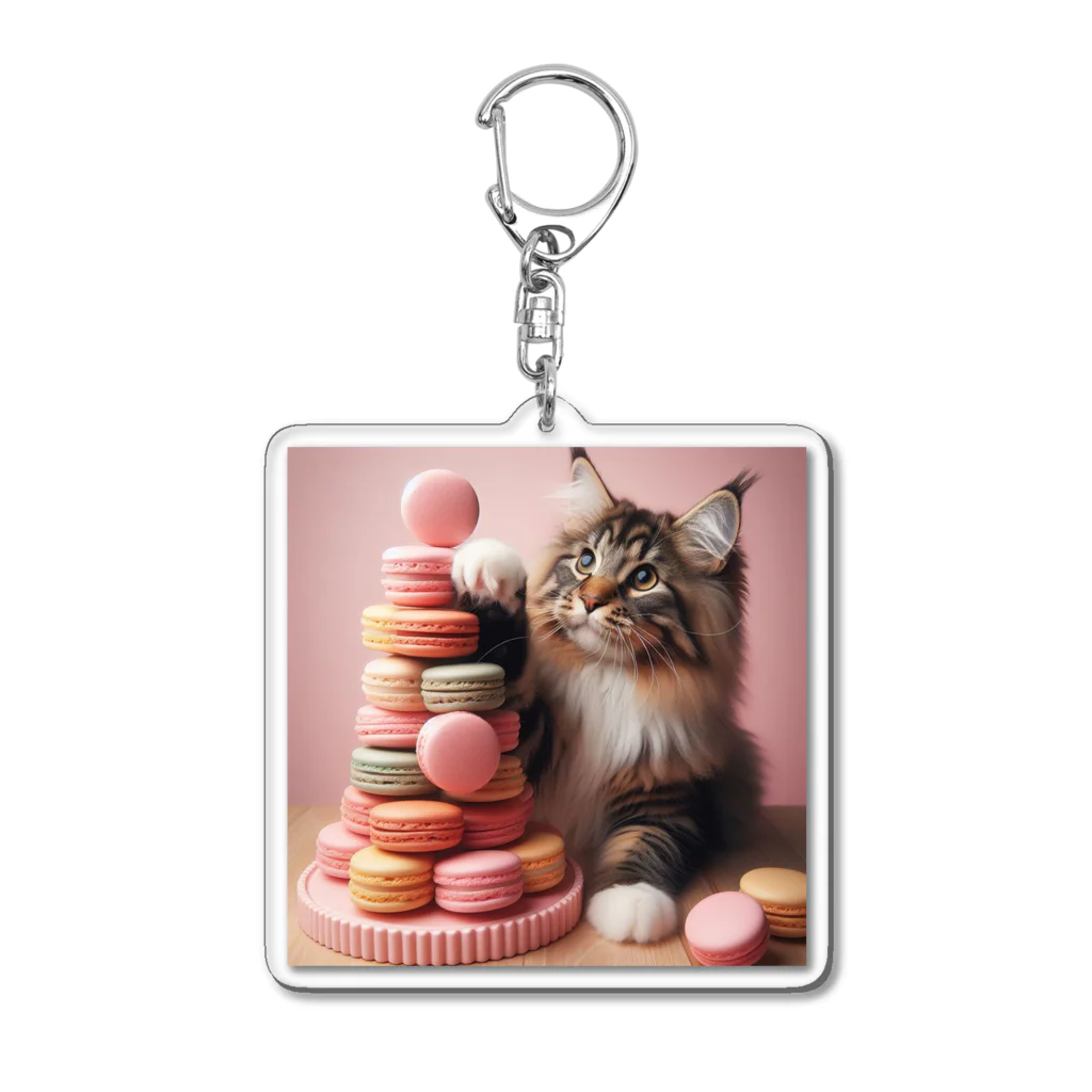 Y m @Y's shopの猫とマカロン Acrylic Key Chain