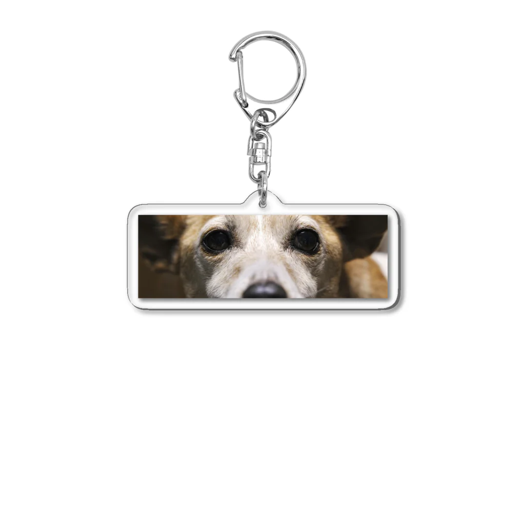 一白の実家の犬まろん Acrylic Key Chain