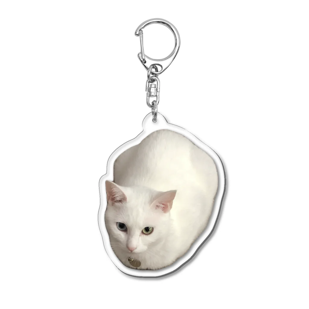 白猫のんちゃんの白猫のんちゃん Acrylic Key Chain