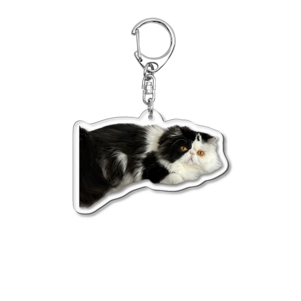猫のギズモのアクリルキーホルダー Acrylic Key Chain