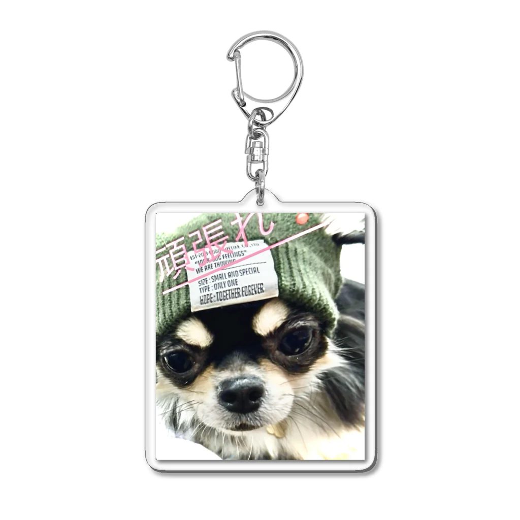 我が家の愛犬の癒しの愛犬 Acrylic Key Chain