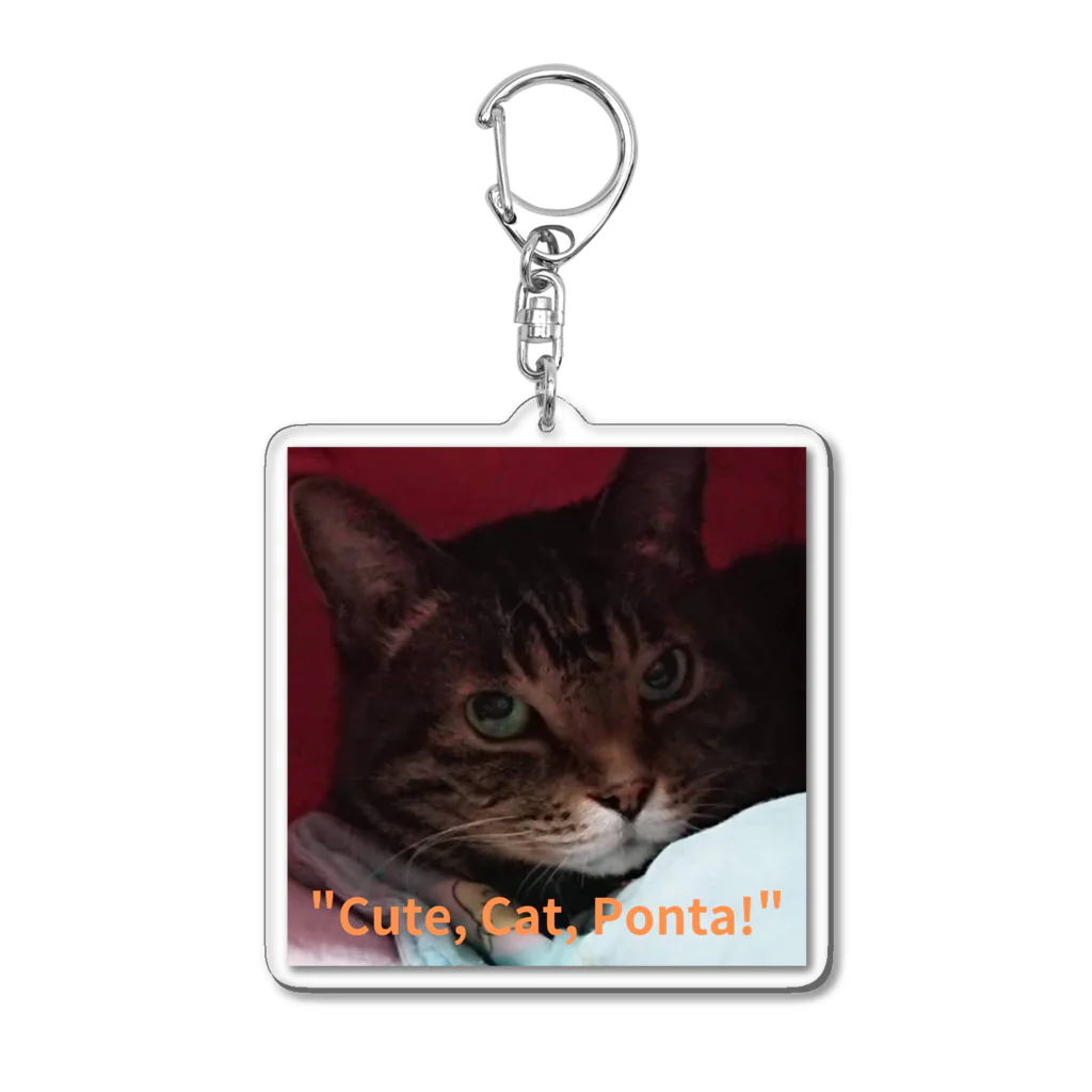 yuo1040yamato Soraの"cute. Cat. Ponta!" Acrylic Key Chain