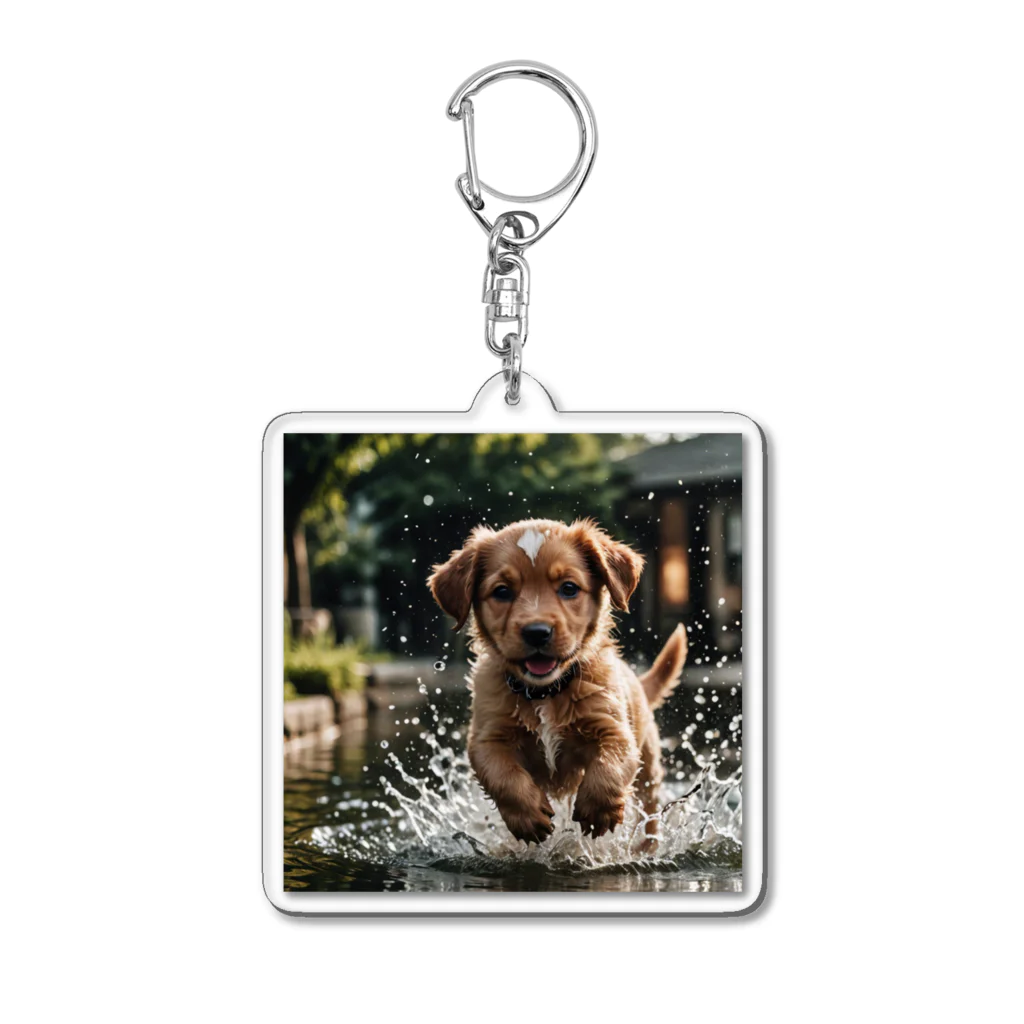 mamekichi445の水遊び楽しむ子犬くん Acrylic Key Chain