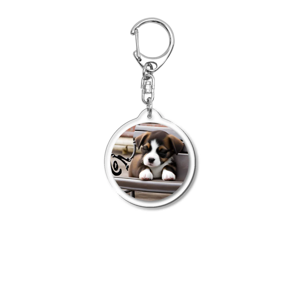 million-mindのベンチで眠る子犬 Acrylic Key Chain