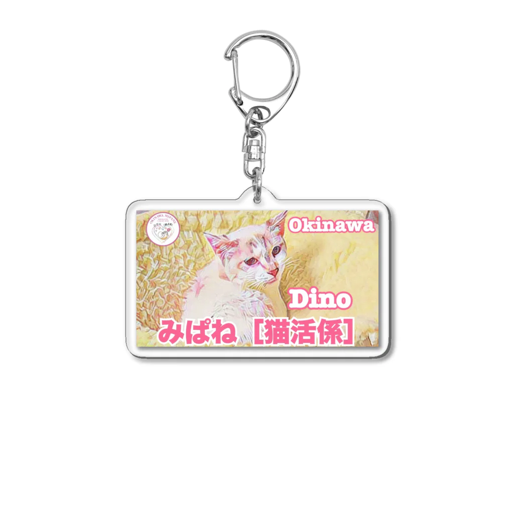 MIPANEグッズショップのディノアイテム！ Acrylic Key Chain