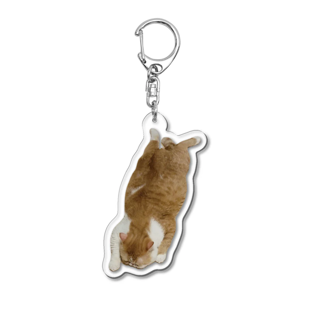 さんとストアのお昼寝猫のさんとくん Acrylic Key Chain