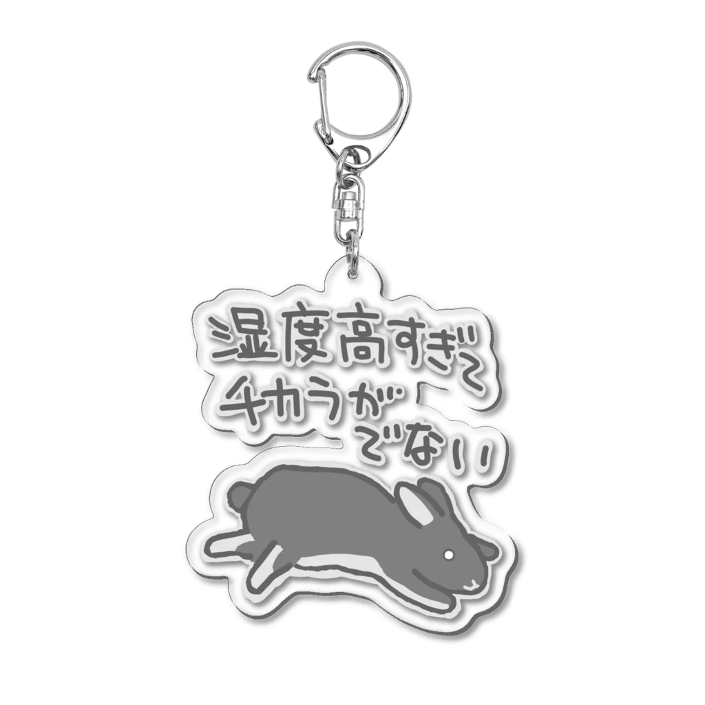 ミナミコアリクイ【のの】の湿度高すぎ【うさぎ】 Acrylic Key Chain