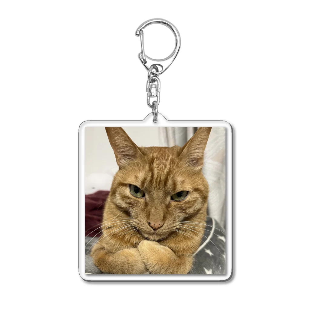 ミシン工房Mayの猫好きトラくんのキーホルダー Acrylic Key Chain