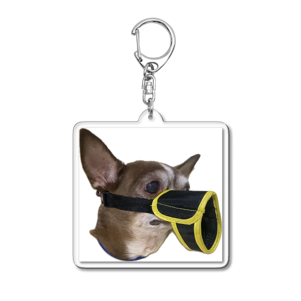 ゲドテコデータプールセンターの犬2号 Acrylic Key Chain