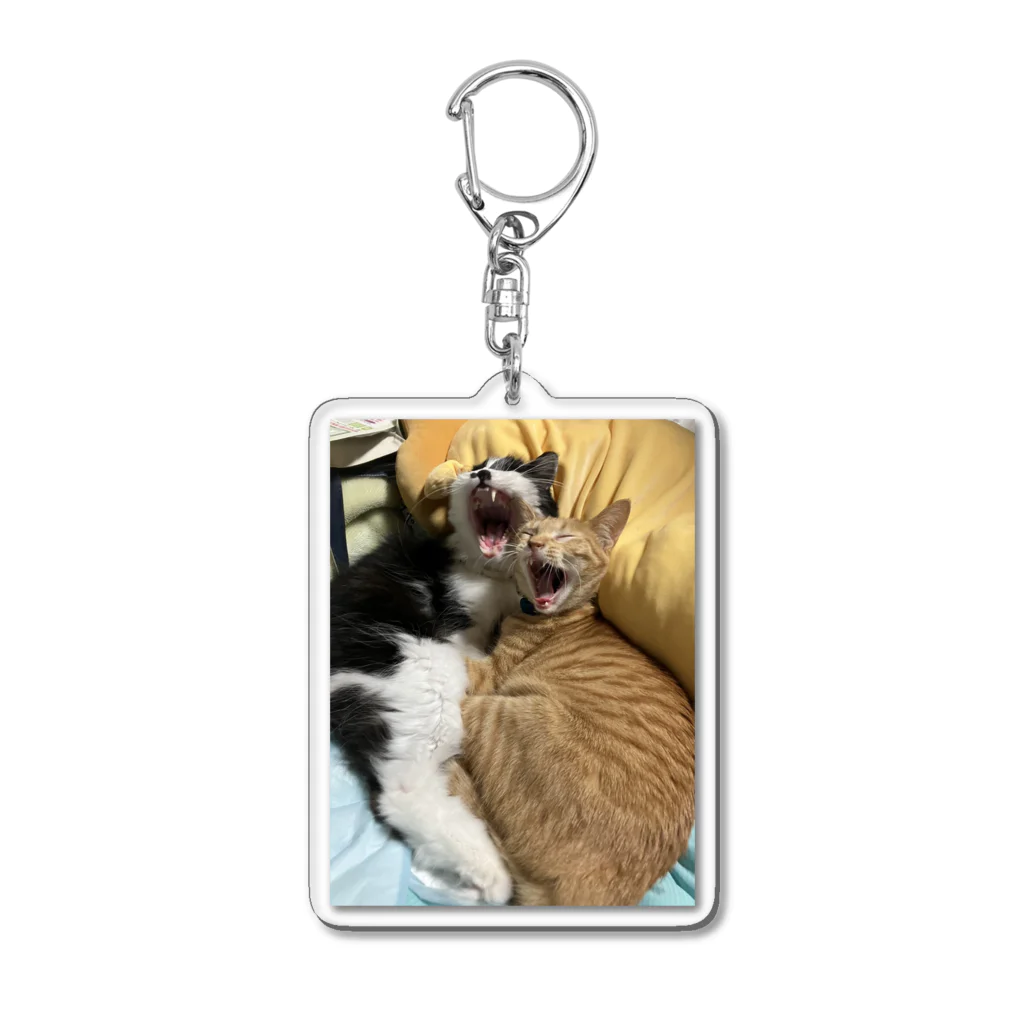 ayamomohidemiのキュートな猫猫あくび Acrylic Key Chain